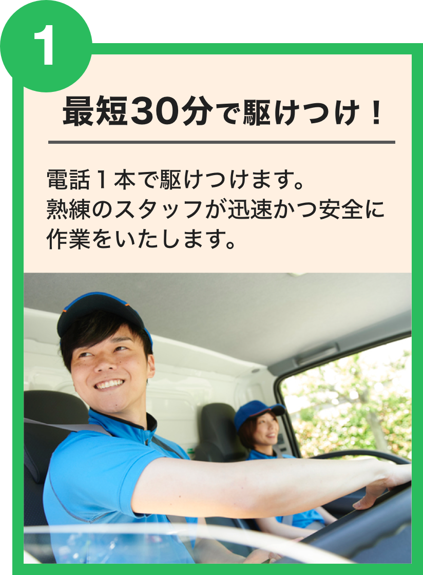 SSプラン